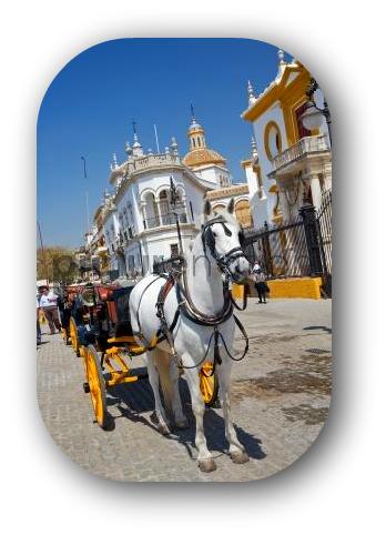 Seville horse carriage